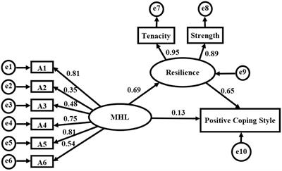 The mediating effect of resilience on mental health literacy and positive coping style among Chinese empty nesters: A cross-sectional study